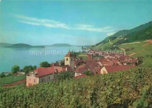 AK / Ansichtskarte Twann_Nidau_BE Panorama Blick auf den See Weinberge 
