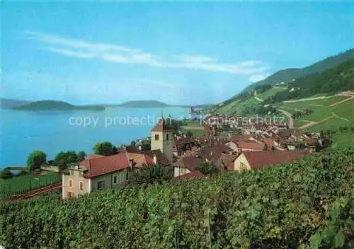 AK / Ansichtskarte Twann_Nidau_BE Panorama Blick auf den See Weinberge 