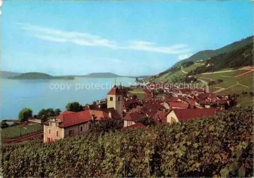 AK / Ansichtskarte Twann_Nidau_BE Panorama Blick auf den See Weinberge 