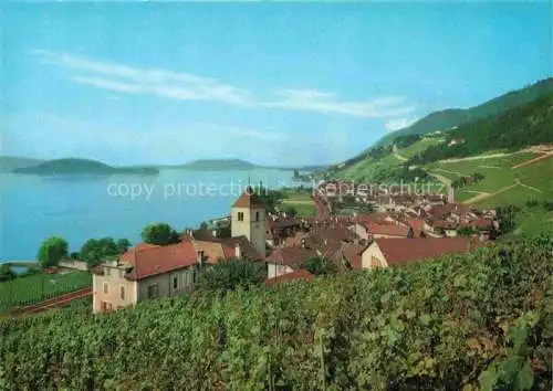 AK / Ansichtskarte Twann_Nidau_BE Panorama Blick auf den See Weinberge 