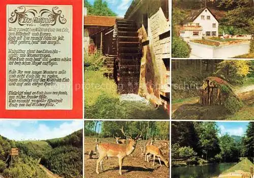 AK / Ansichtskarte Elmstein Rheinland-Pfalz Hotel Elmsteiner Hof Wasserrad Landschaftspanorama Waldpartie Wild