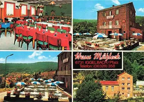 AK / Ansichtskarte Iggelbach Elmstein Bad Duerkheim Rheinland-Pfalz Gasthaus Pension Haus Muehleck Gastraum Terrasse