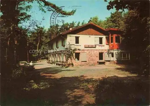 AK / Ansichtskarte Hambach  Neustadt Weinstrasse Hohe Loog-Huette des Pfaelzerwaldvereins Hambach