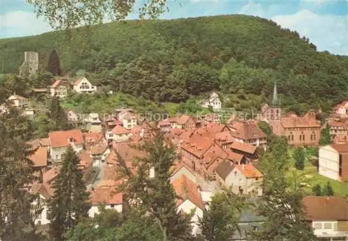 AK / Ansichtskarte Elmstein Rheinland-Pfalz Teilansicht Luftkurort mit Burg