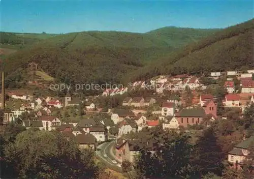 AK / Ansichtskarte Neidenfels Pfalz Panorama