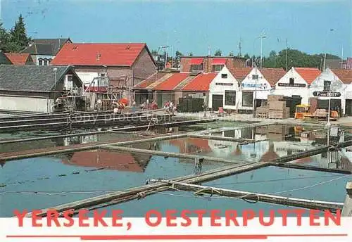 AK / Ansichtskarte Yerseke Reimerswaal Zeeland NL Oesterputten