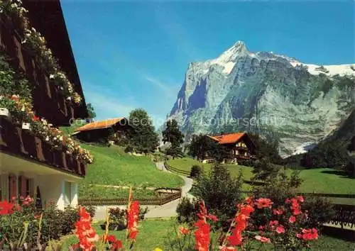 AK / Ansichtskarte Grindelwald_BE Teilansicht mit Wetterhorn Berner Alpen 