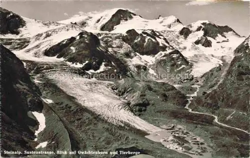 AK / Ansichtskarte Steinalp_2224m_BE Sustenstrasse Blick auf Gwaechtenhorn und Tierberge 