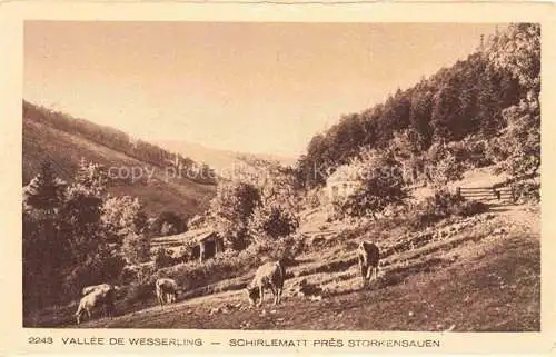 AK / Ansichtskarte Schirlematt_Storkensauen_Storckensohn_Storkensohn_68_Haut Rhin Vallee de Wesserling 