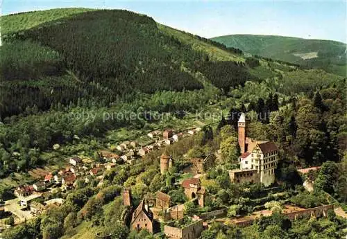AK / Ansichtskarte Hirschhorn Neckar Hessen Fliegeraufnahme mit Schloss