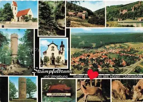 AK / Ansichtskarte Struempfelbrunn Waldbrunn Ev Kirche Muehle im Hoellgrund Katzenbuckelturm Kath Kirche Wolfsschlucht Zwingenberg Hindenburg Saeule