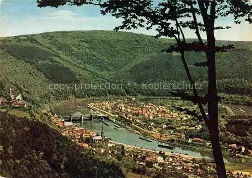 AK / Ansichtskarte Hirschhorn Neckar Hessen Schloss Hotel Neckarpartie