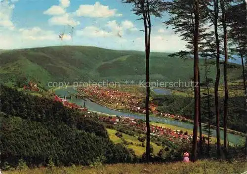 AK / Ansichtskarte Hirschhorn Neckar Hessen Neckarpartie