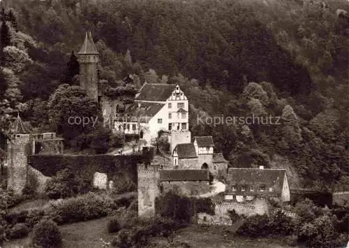 AK / Ansichtskarte Hirschhorn Neckar Hessen Burg Hirschhorn Schloss Hotel