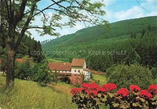 AK / Ansichtskarte Struempfelbrunn Waldbrunn Muehle im oberen Hoellgrund