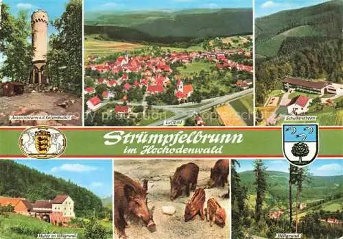 AK / Ansichtskarte Struempfelbrunn Waldbrunn Katzenbuckelturm Fliegeraufnahme Schullandheim Muehle im Hoellgrund Wildschweine Hoellgrund