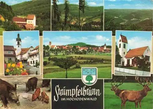 AK / Ansichtskarte Struempfelbrunn Waldbrunn Gasthaus zur Muehle Panorama Muehlrad Katzenbuckelturm Wildpark Strassenpartie