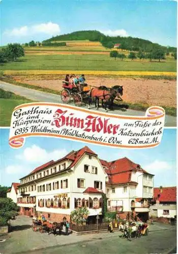 AK / Ansichtskarte Waldkatzenbach Waldbrunn Gasthaus Zum Adler Kutschfahrten