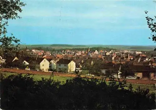 AK / Ansichtskarte Limbach Baden Neckar-Odenwald-Kreis BW Panorama