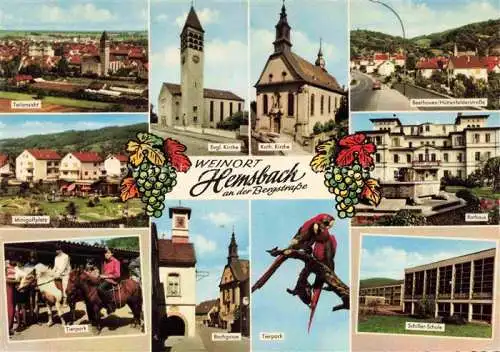 AK / Ansichtskarte Hemsbach  Bergstrasse Teilansichten Kirche Minigolfplatz Tierpark Ponyreiten Schule Rathaus