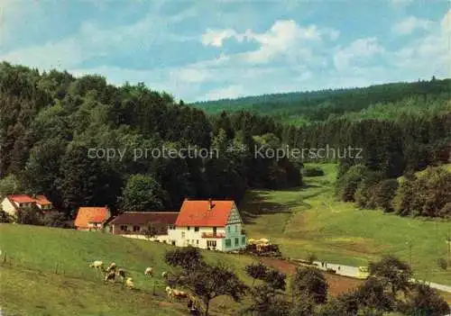 AK / Ansichtskarte Grasellenbach Gras-Ellenbach Panorama Blick ins Gassbachtal