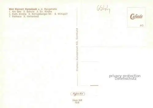AK / Ansichtskarte Hemsbach  Bergstrasse Panorama Weinort Baumbluete Wiesensee Kirche Hallenbad Minigolf Rathaus