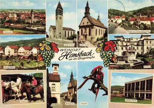 AK / Ansichtskarte Hemsbach  Bergstrasse Panorama Weinort Kirche Strassenpartie Minigolf Rathaus Tierpark Ponyreiten Schule