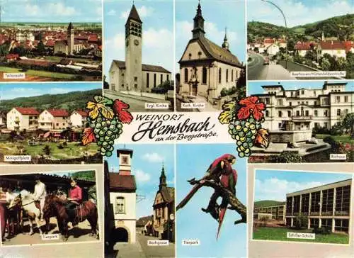 AK / Ansichtskarte Hemsbach  Bergstrasse Panorama Kirche Strassenpartien Minigolf Rathaus Ponyreiten Tierpark Schule