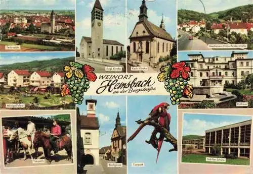 AK / Ansichtskarte Hemsbach  Bergstrasse Panorama Kirche Strassenpartien Minigolf Rathaus Tierpark Ponyreiten Schule