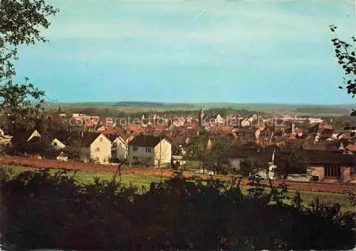AK / Ansichtskarte Limbach Baden Neckar-Odenwald-Kreis BW Panorama