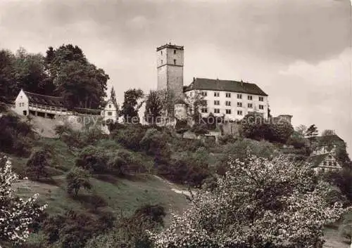 AK / Ansichtskarte Neckarmuehlbach Burg Guttenberg