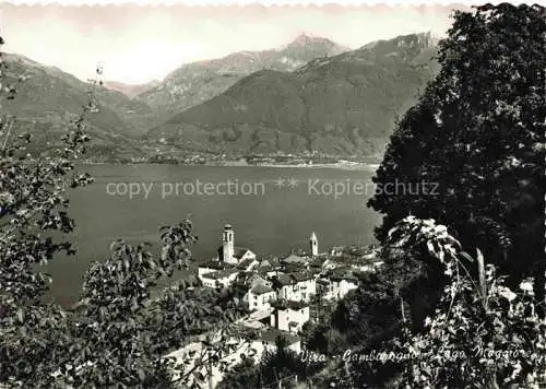 AK / Ansichtskarte Vira_Gambarogno_Locarno_TI Panorama Lago Maggiore 