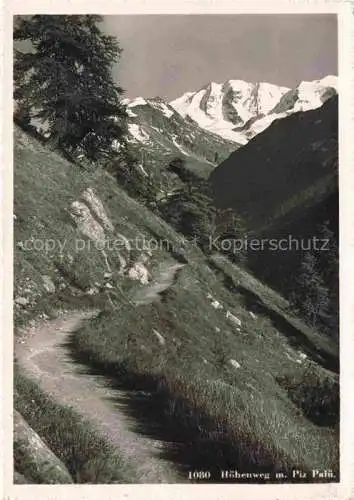 AK / Ansichtskarte Pontresina_GR Hoehenweg mit Piz Palue Berninagruppe Alpen 