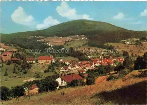 AK / Ansichtskarte Heiligkreuzsteinach Heidelberg BW Panorama Odenwald