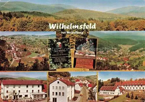 AK / Ansichtskarte Wilhelmsfeld Landschaftspanorama Teilansichten
