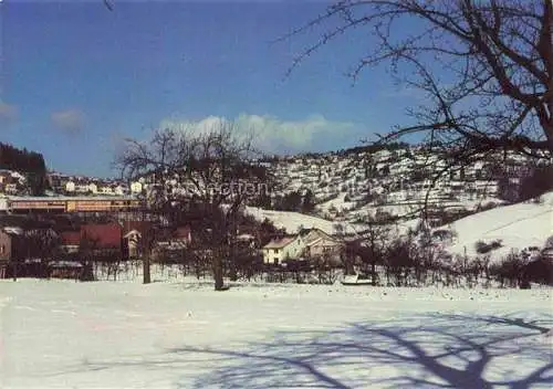 AK / Ansichtskarte Wilhelmsfeld Panorama