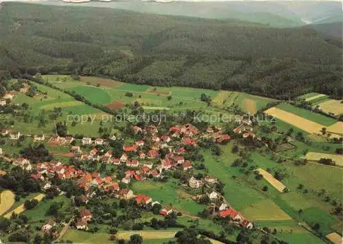 AK / Ansichtskarte Darsberg Neckarsteinach Bergstrasse Hessen Gasthaus und Pension Zum Waldhorn