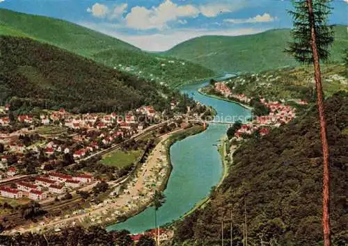 AK / Ansichtskarte HEIDELBERG  Neckar Neckartal mit Zeltplatz Schlierbach und Ziegelhausen