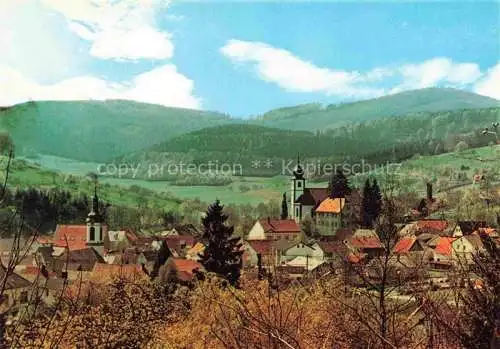 AK / Ansichtskarte Heiligkreuzsteinach Heidelberg BW Panorama Kirchen