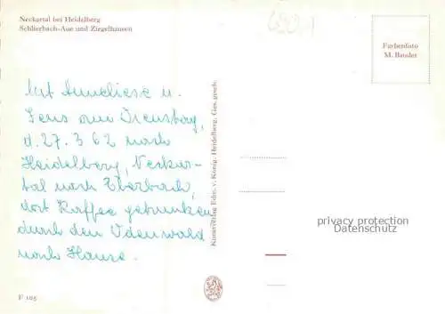 AK / Ansichtskarte Neckartal mit Schlierbach Aue und Ziegelhausen