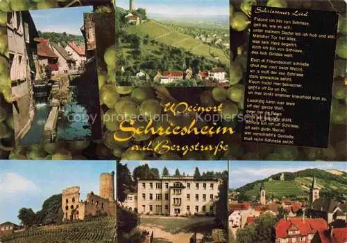 AK / Ansichtskarte Schriesheim Teilansichten Burgruine Schloss Panorama