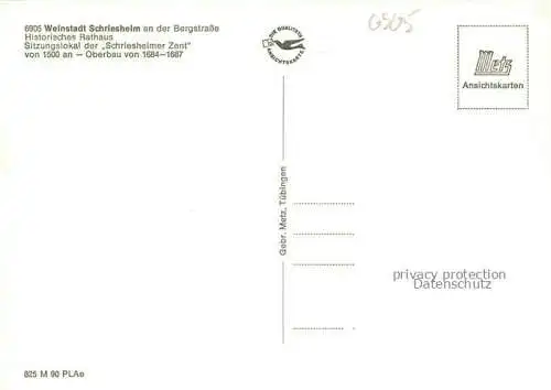 AK / Ansichtskarte Schriesheim Historisches Rathaus Brunnen