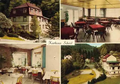 AK / Ansichtskarte Schriesheim Kurhaus Scheid Gastraeume Park