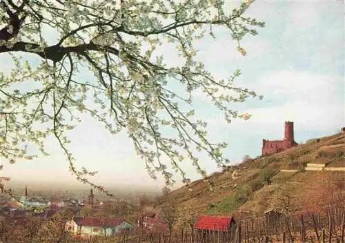 AK / Ansichtskarte Schriesheim Strahlenburg Panorama