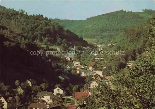 AK / Ansichtskarte Peterstal Ziegelhausen Panorama Restaurant Goldener Loewe