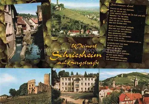 AK / Ansichtskarte Schriesheim Kanal Ruine Panorama Kurhaus Ortspartie
