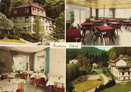 AK / Ansichtskarte Schriesheim Kurhaus Scheid Gastraeume Park
