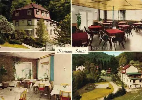 AK / Ansichtskarte Schriesheim Kurhaus Scheid Gastraeume Park