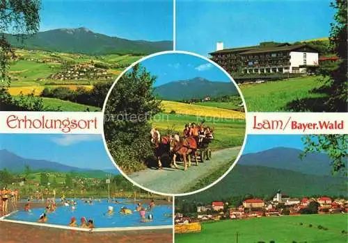 AK / Ansichtskarte Lam Oberpfalz Panorama Erholungsort Freibad Pferdekutsche