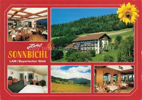 AK / Ansichtskarte Lam Oberpfalz Hotel Sonnbichl Restaurant Fremdenzimmer Landschaftspanorama